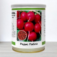Насіння редису Пабло, Польща, Marvel, банка 100г